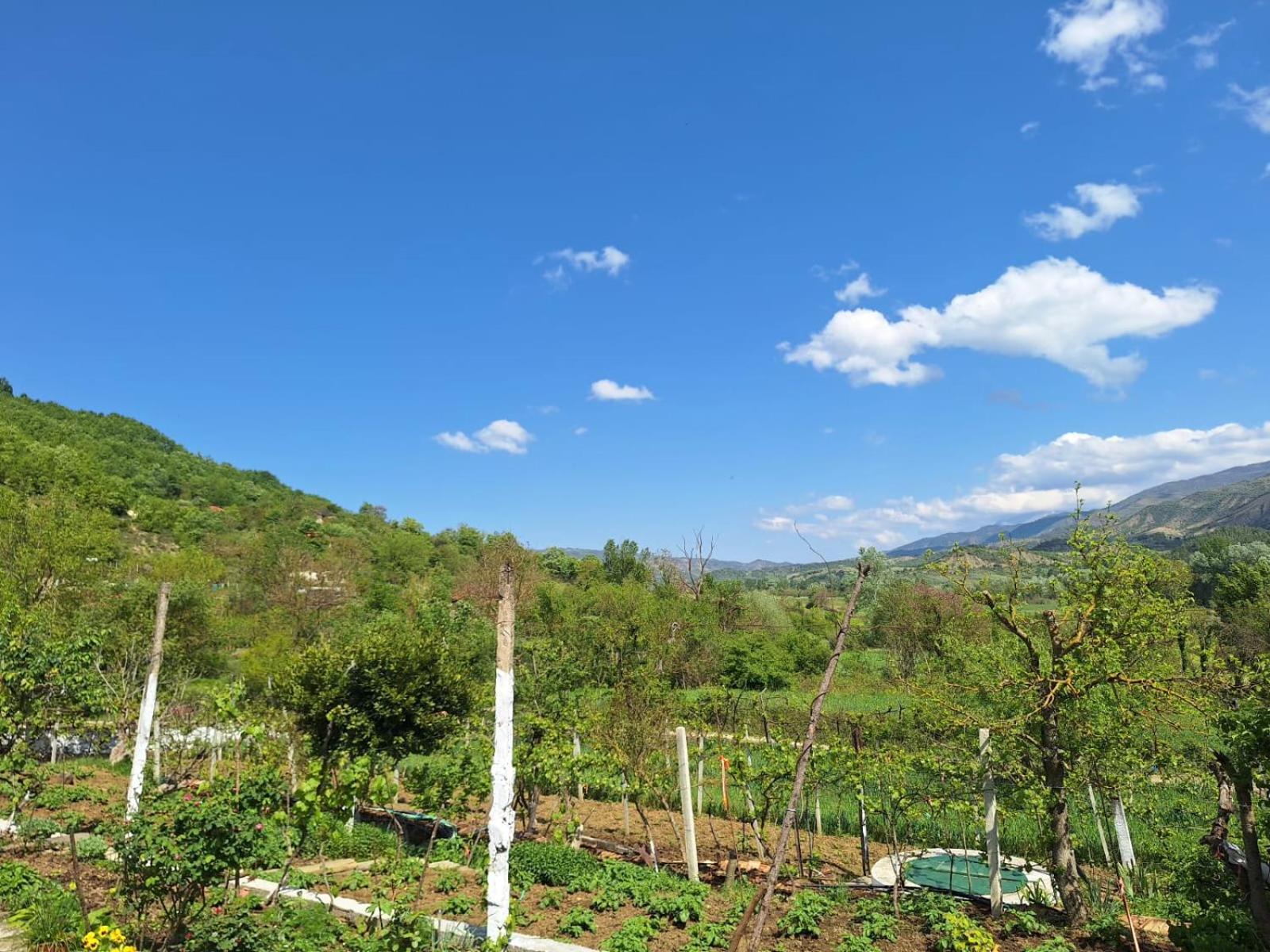Spring Village Home Përmet 外观 照片