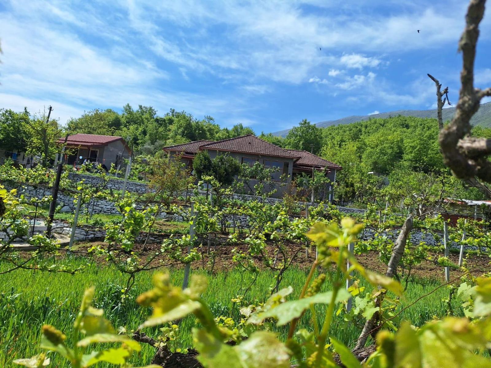 Spring Village Home Përmet 外观 照片