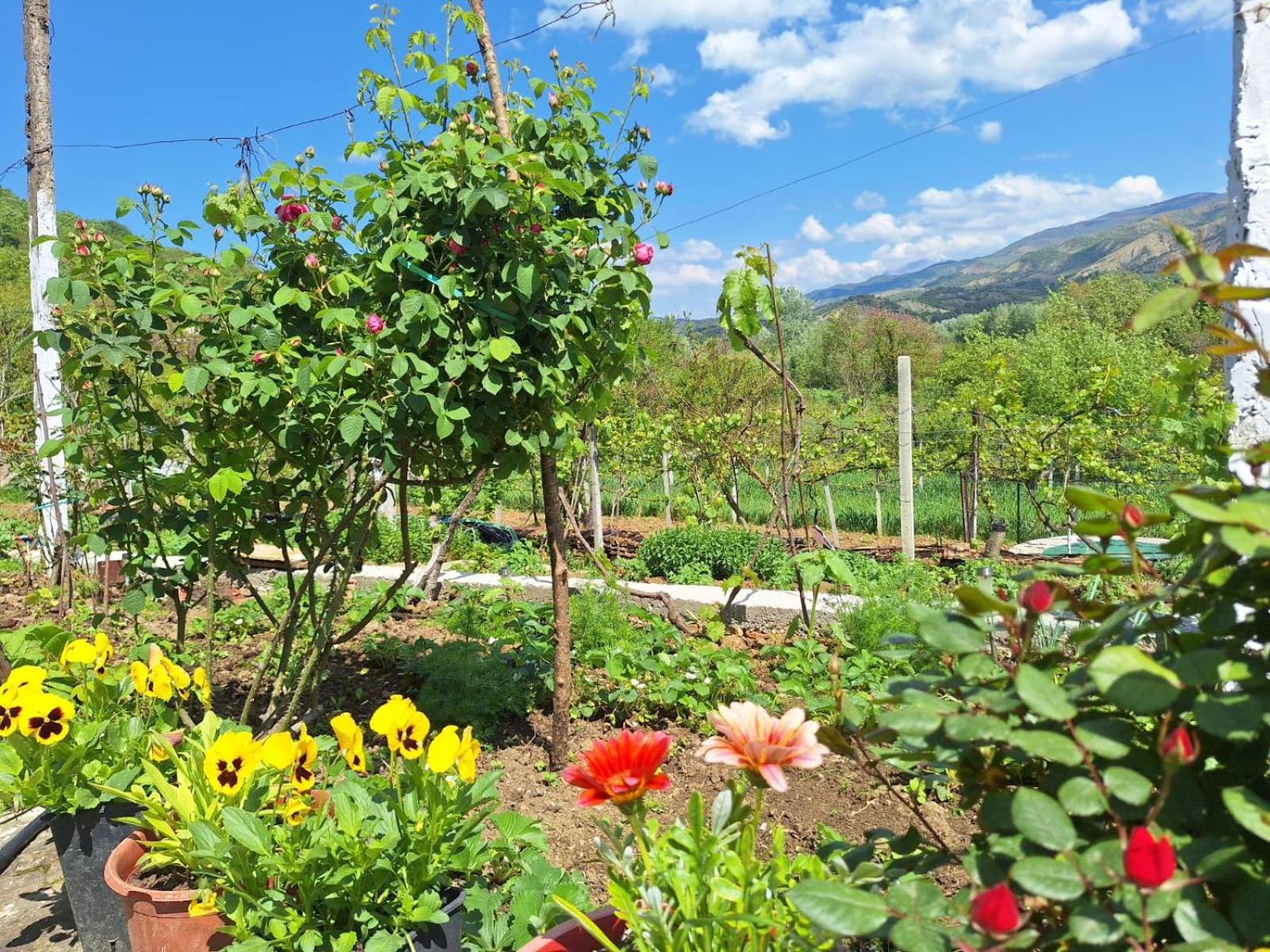Spring Village Home Përmet 外观 照片